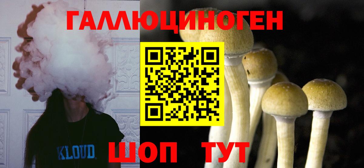 Псилоцибиновые грибы Psilocybine cubensis  Вход с VPN  Кумертау 